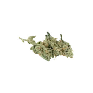 Produkte - 420 Evolution 30/1 CA GMO