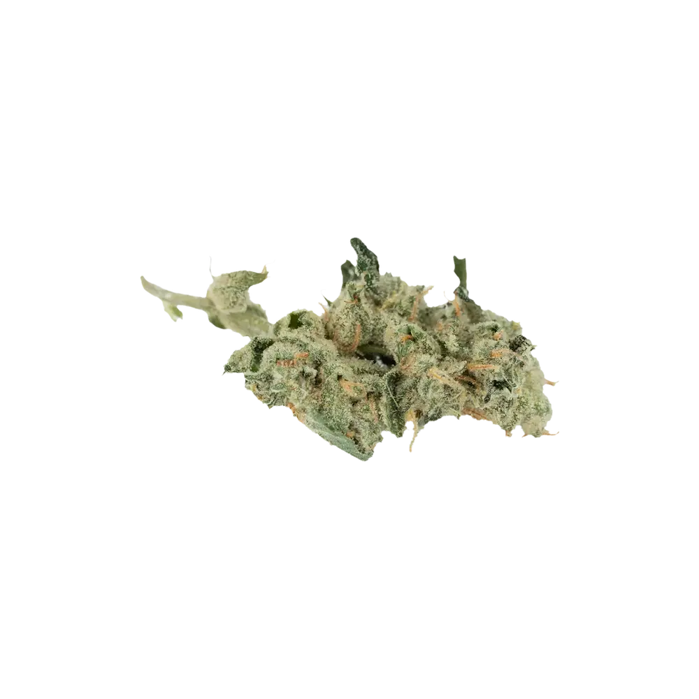 Produkte - 420 Evolution 30/1 CA GMO