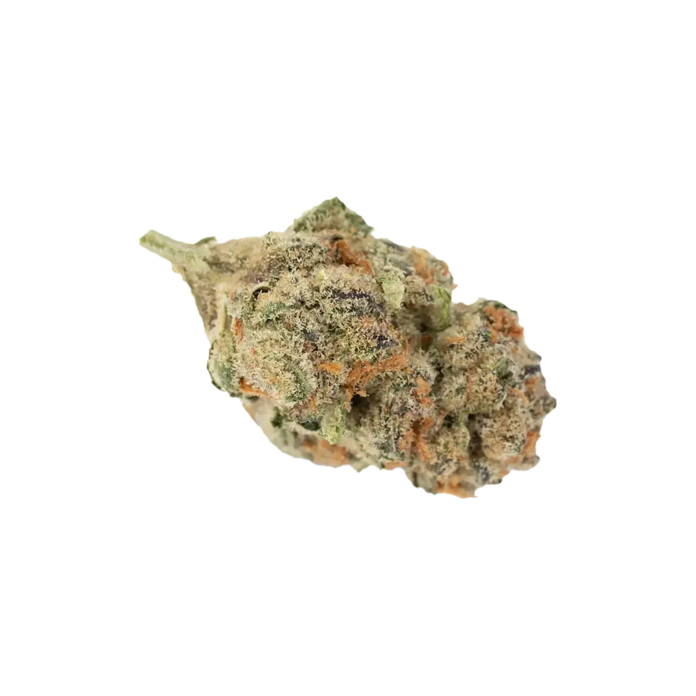 Produkte - Canopy LSK 18
