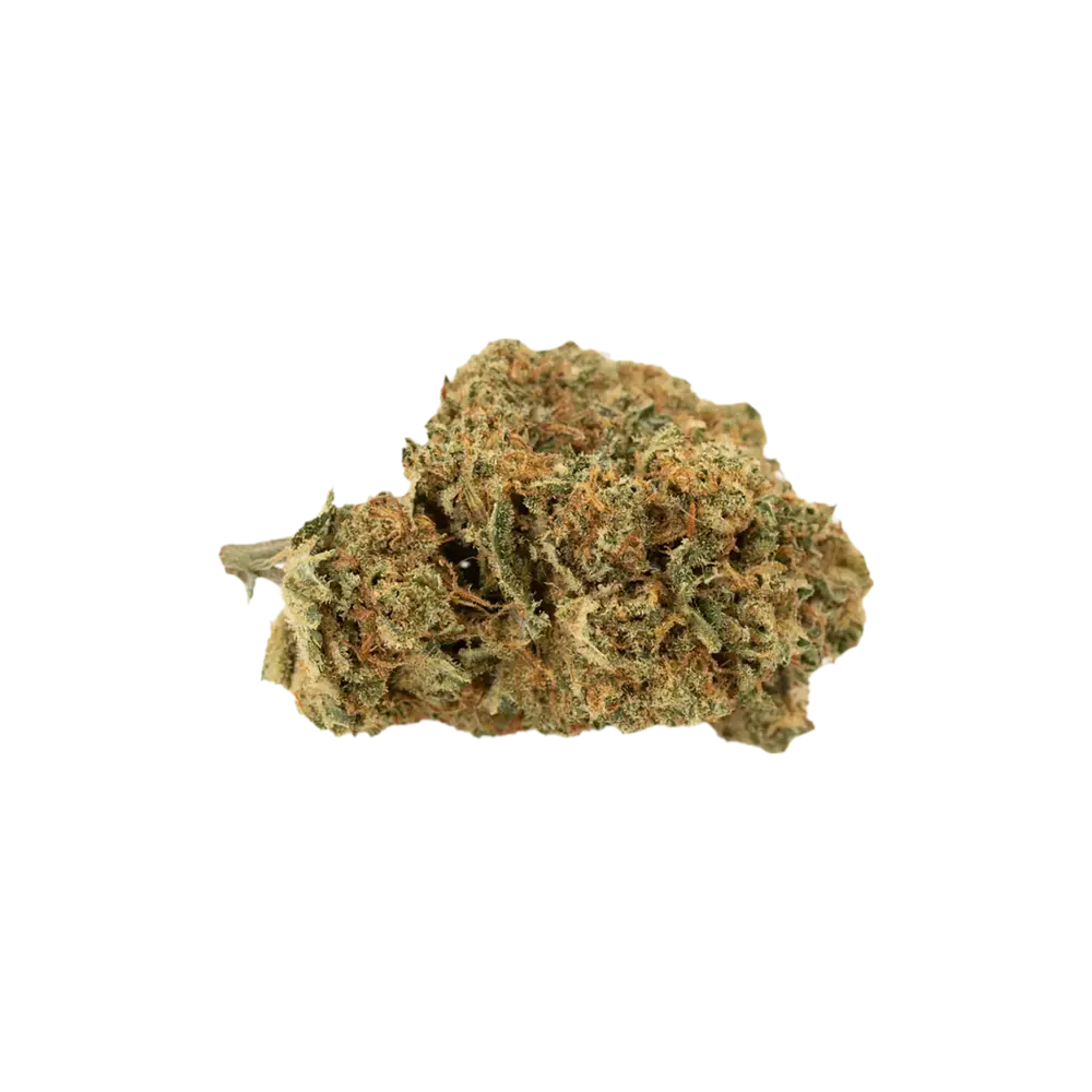 Produkte - Aurora 1/16 VSP-CA