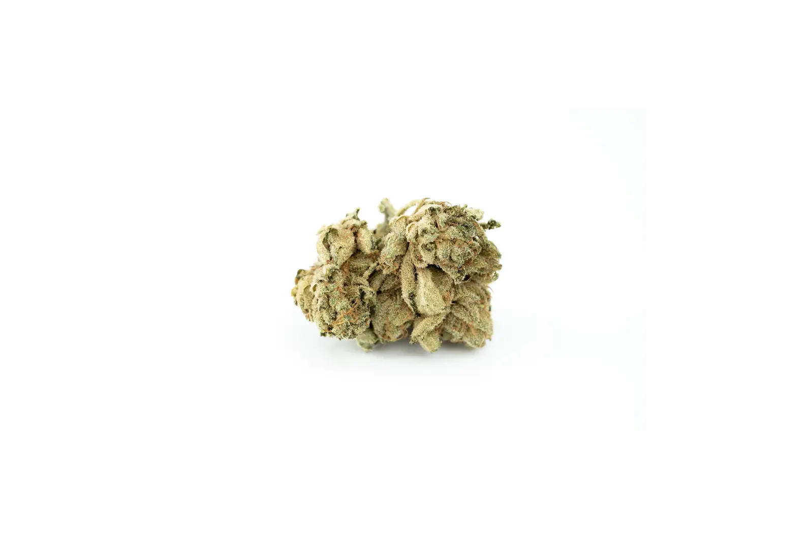 Produkte - LOT 420 LEM PT
