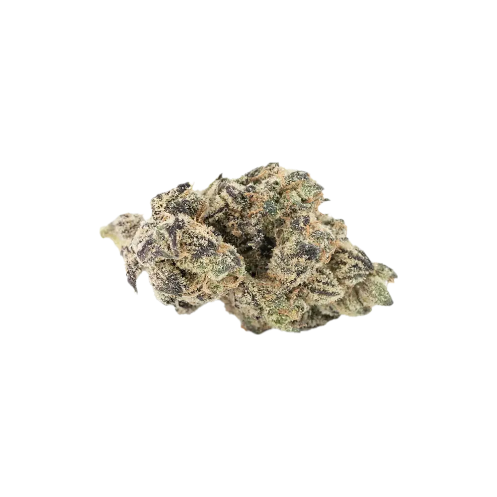 Produkte - KEjF.WRM 21/1