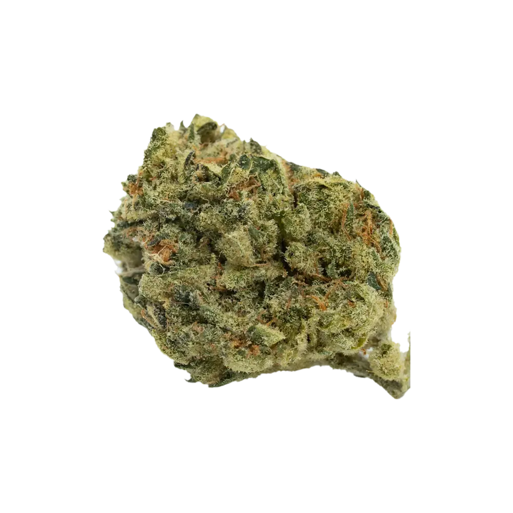 Produkte - Tilray Craft THC25 TAM