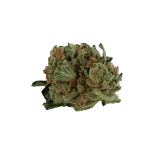 Produkte - Tilray THC18 Spotlight Porto