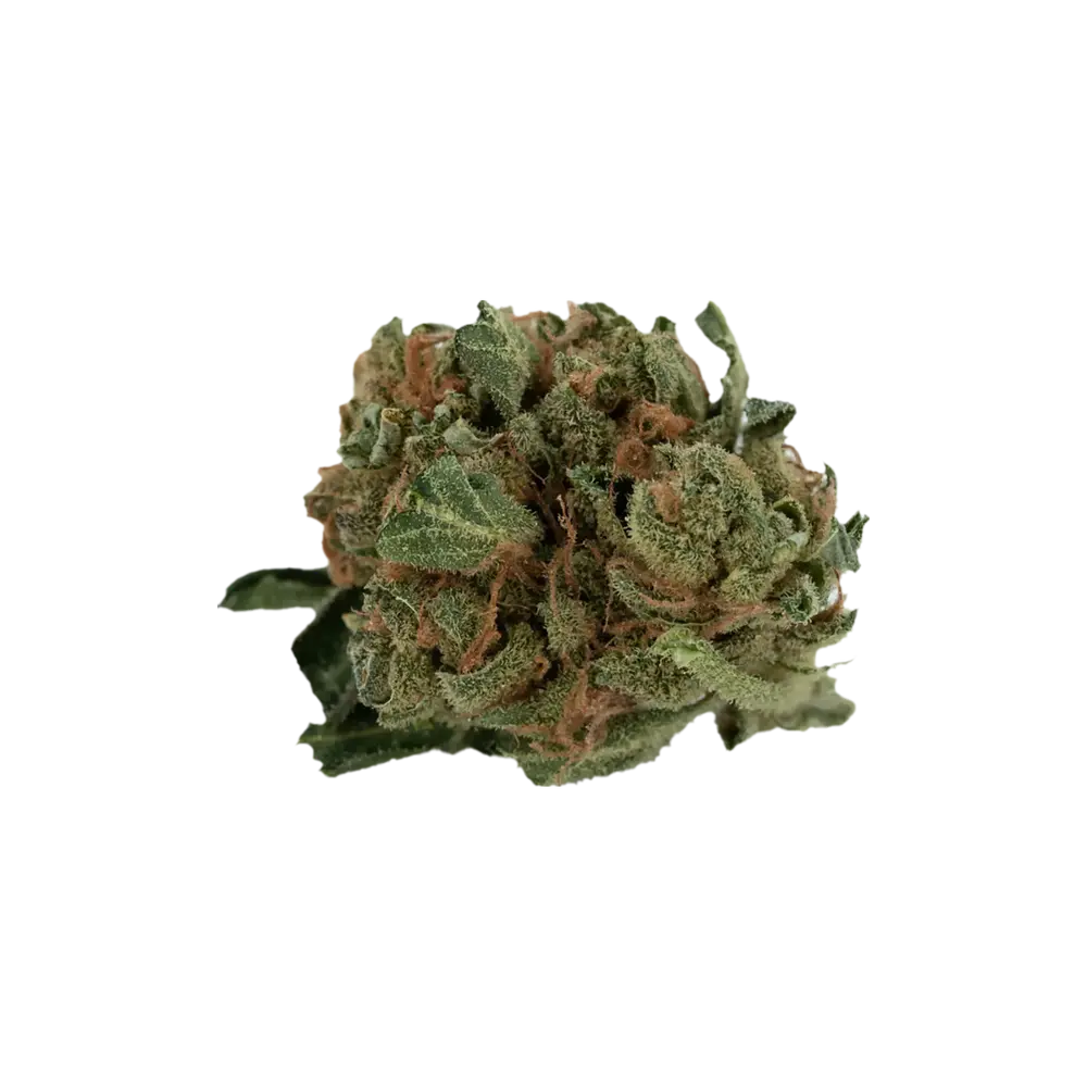Produkte - Tilray THC18 Spotlight Porto
