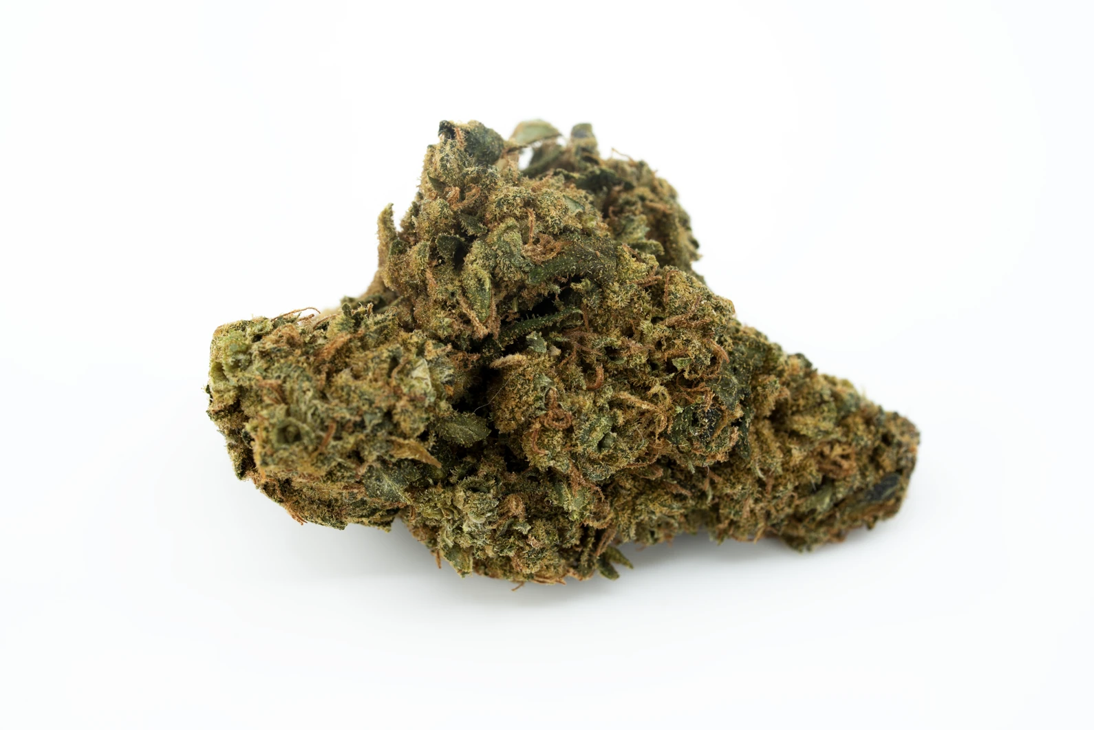 imc-thc-21-t01-hindu-kush