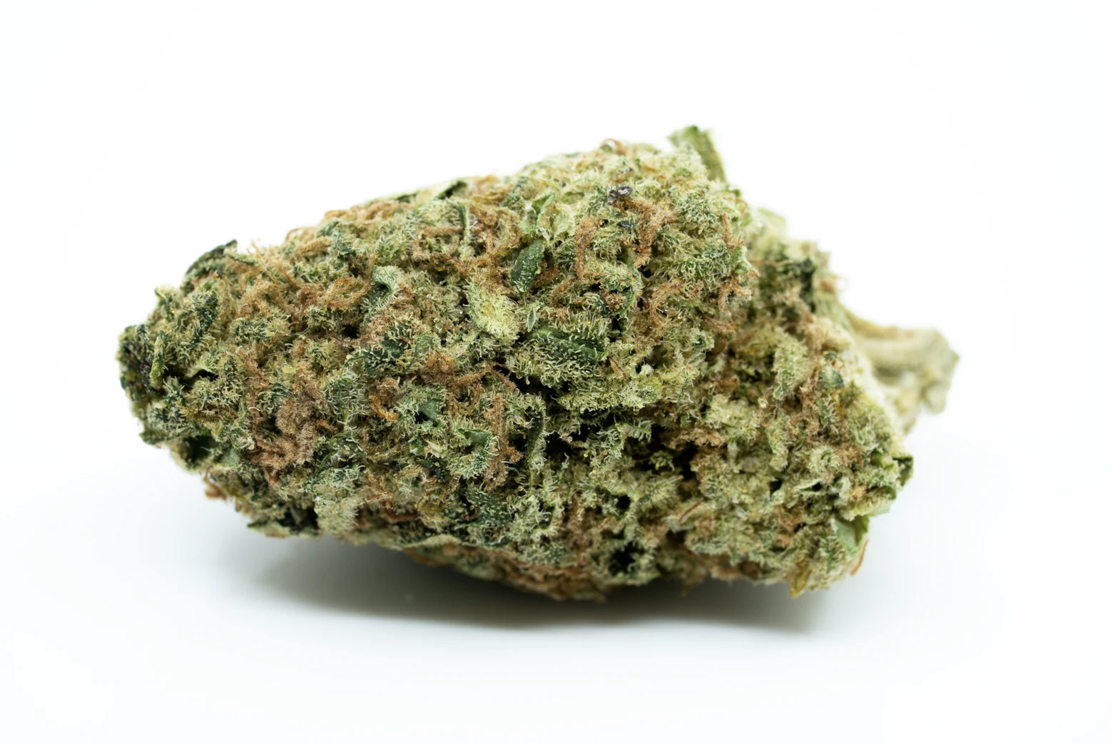 imc-thc-22-t06-black-russian-cannabisblueten-greensby