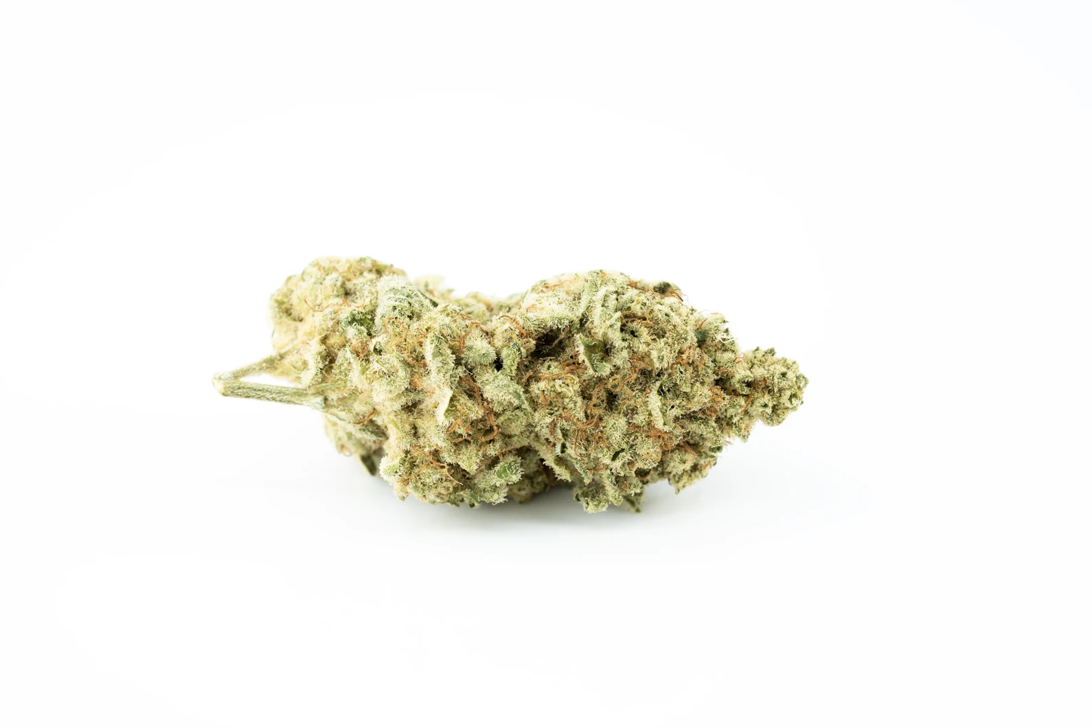 madrecan-21-1-mac-2.0-cannabis-apotheke