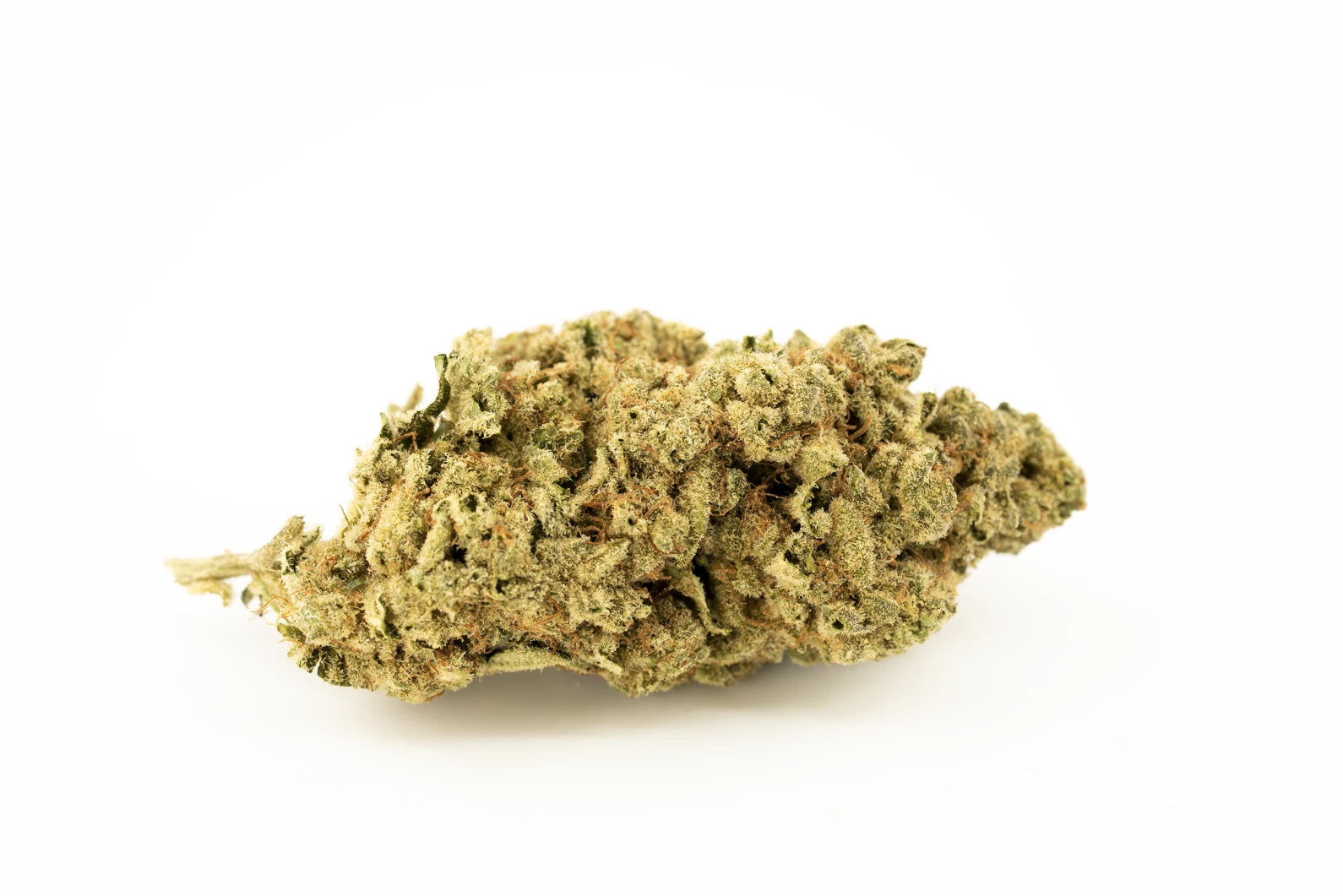 madrecan-21-mac-2.0-cannabis-apotheke