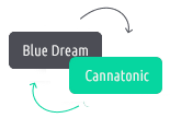Der Pedanios 5/5 Cannabisextrakt ist eine Mischung von den Sorten Blue Dream und Cannatonic