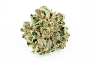 Produkte - Navcora THC18 Spotlight Porto 