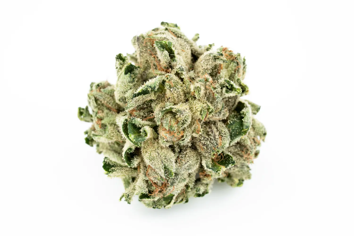 Produkte - Navcora THC18 Spotlight Porto 