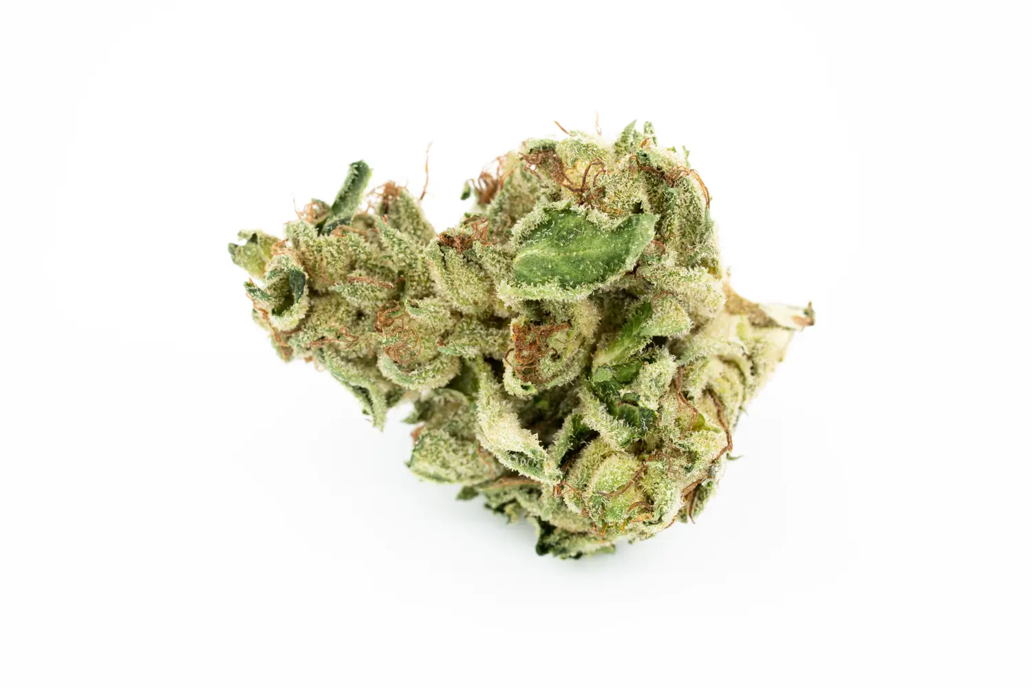 Produkte - Navcora THC18 Spotlight Porto