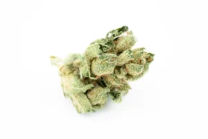 Produkte - Navcora THC18 Spotlight Porto