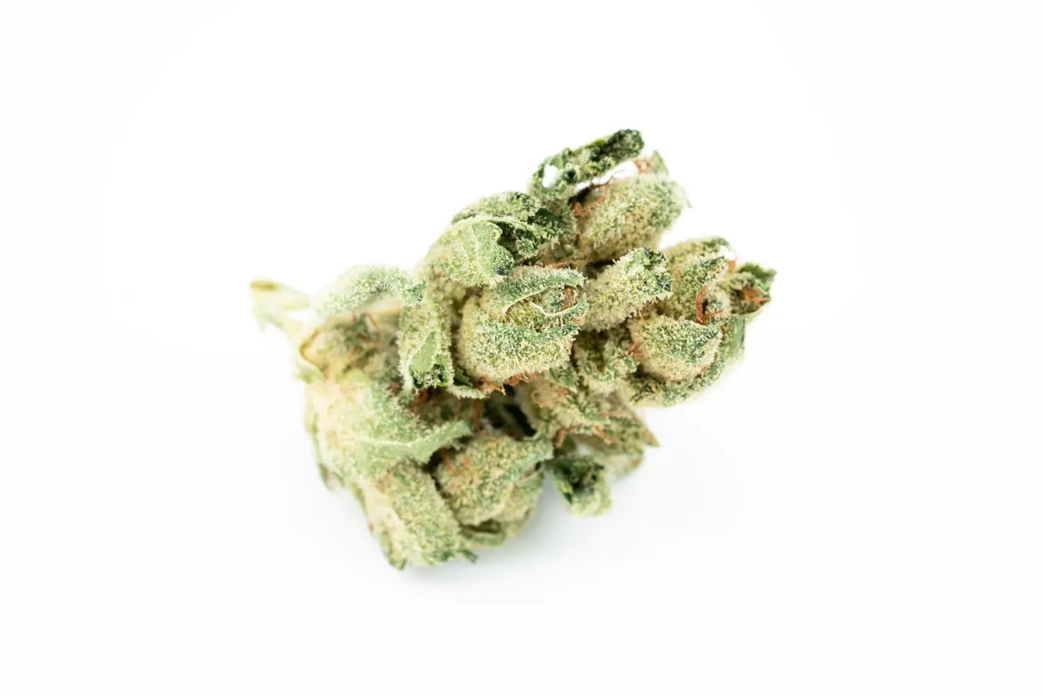 Produkte - Navcora THC18 Spotlight Porto