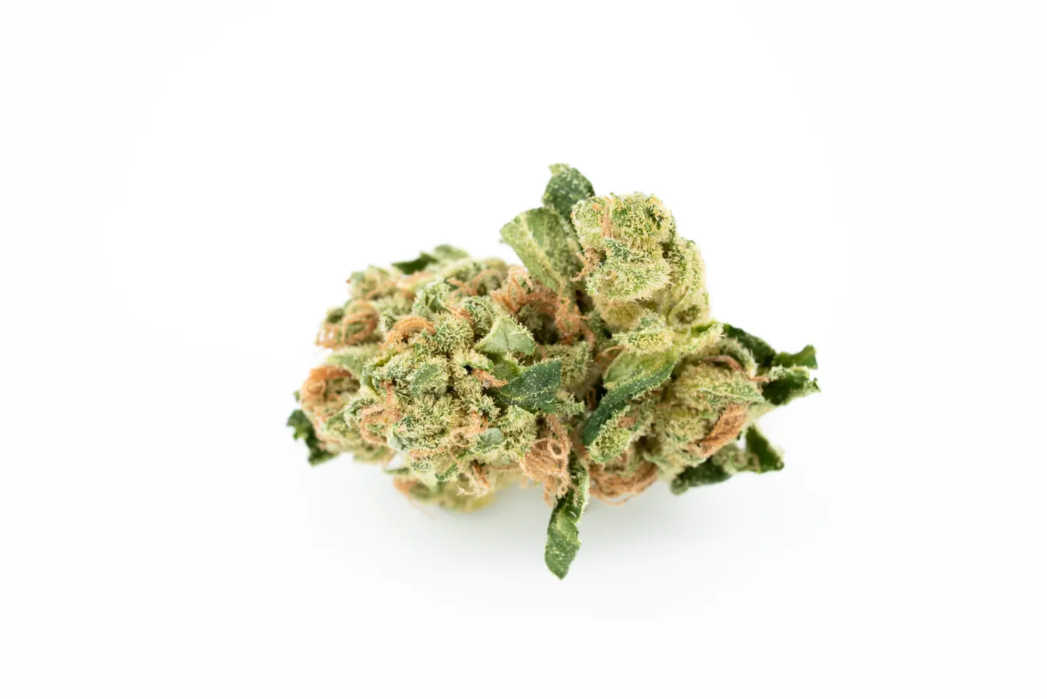 Produkte - Navcora THC18 Spotlight Porto