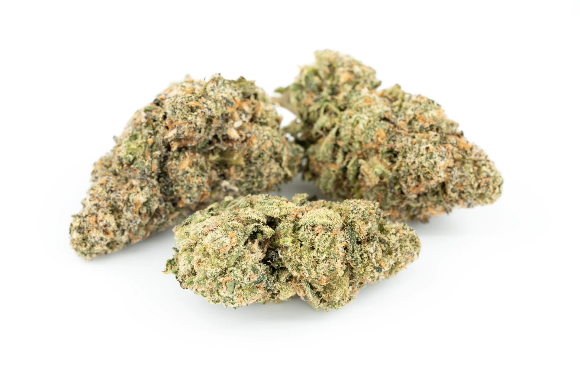 oshara-gc--cannabisblueten-greensby