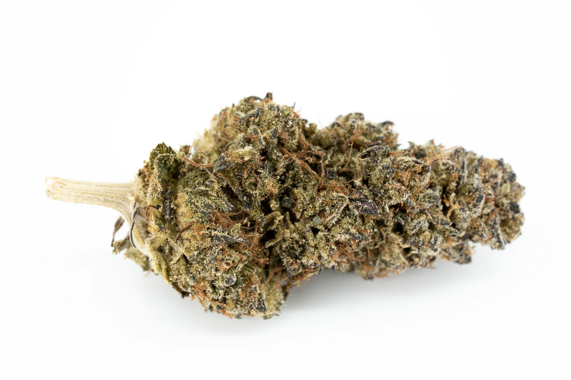 ostara-balance-lvl-copy-cannabisblueten-greensby