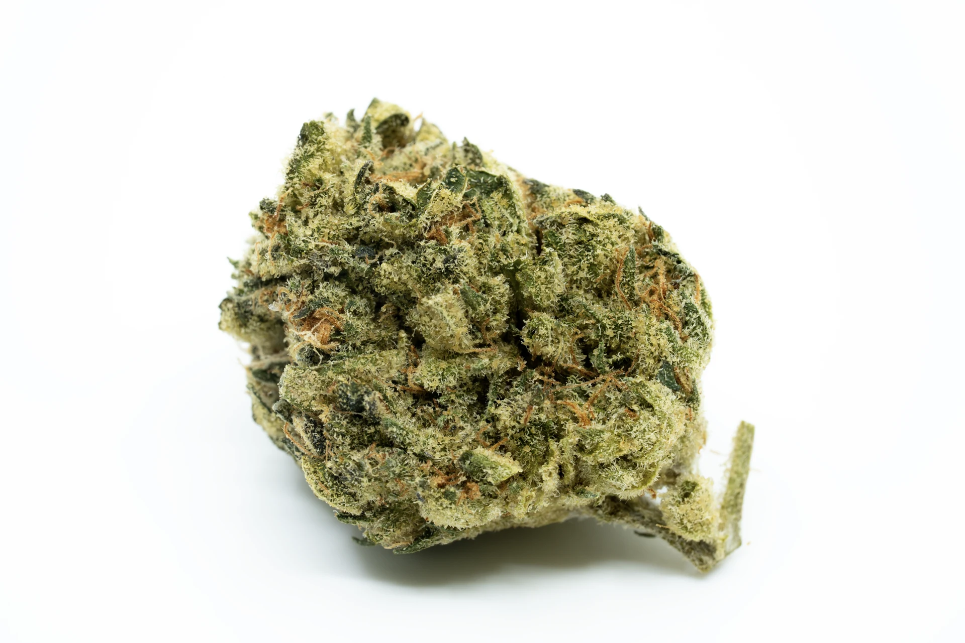 patagonia-plus-tn-cannabisblueten-greensby