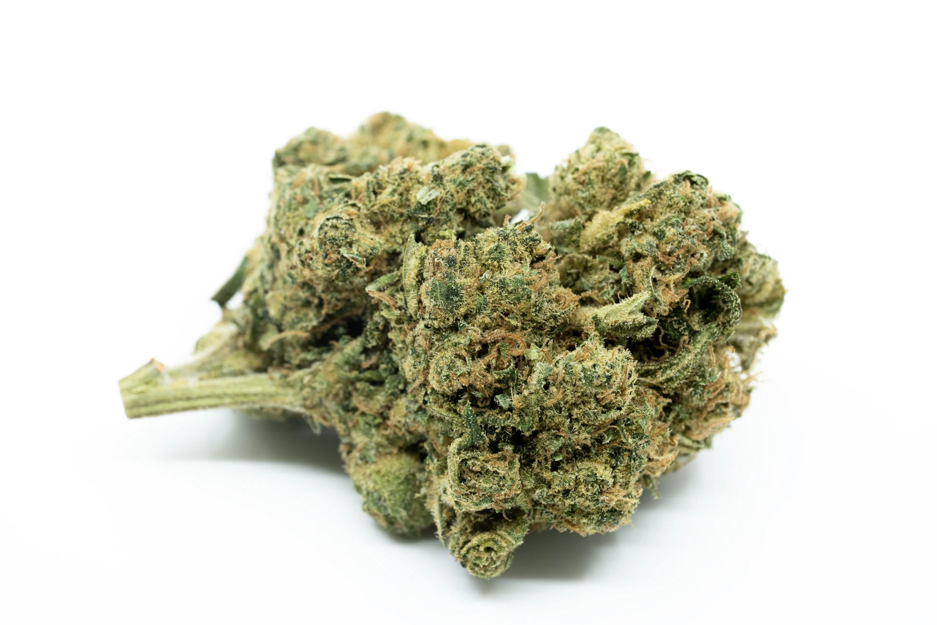 pedanios-10-13-mbe-cannabisblueten-greensby