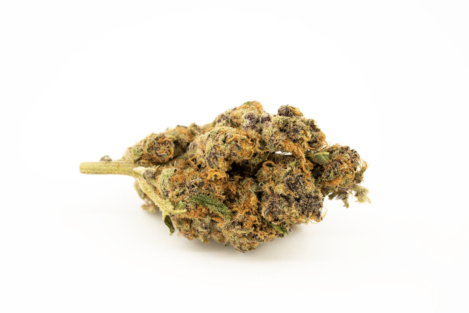 pedanios-18-1-tng-ca-tangerine-dream-cannabis-apotheke