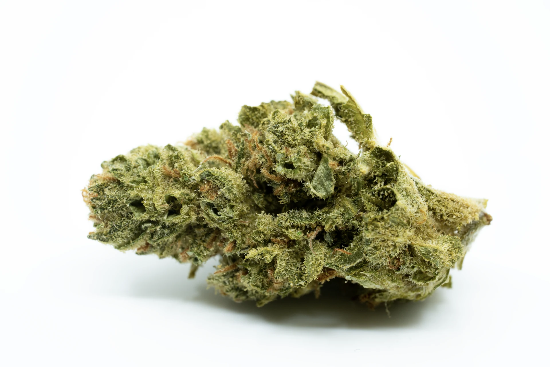 recann-19-1-al-cannabisblueten-greensby