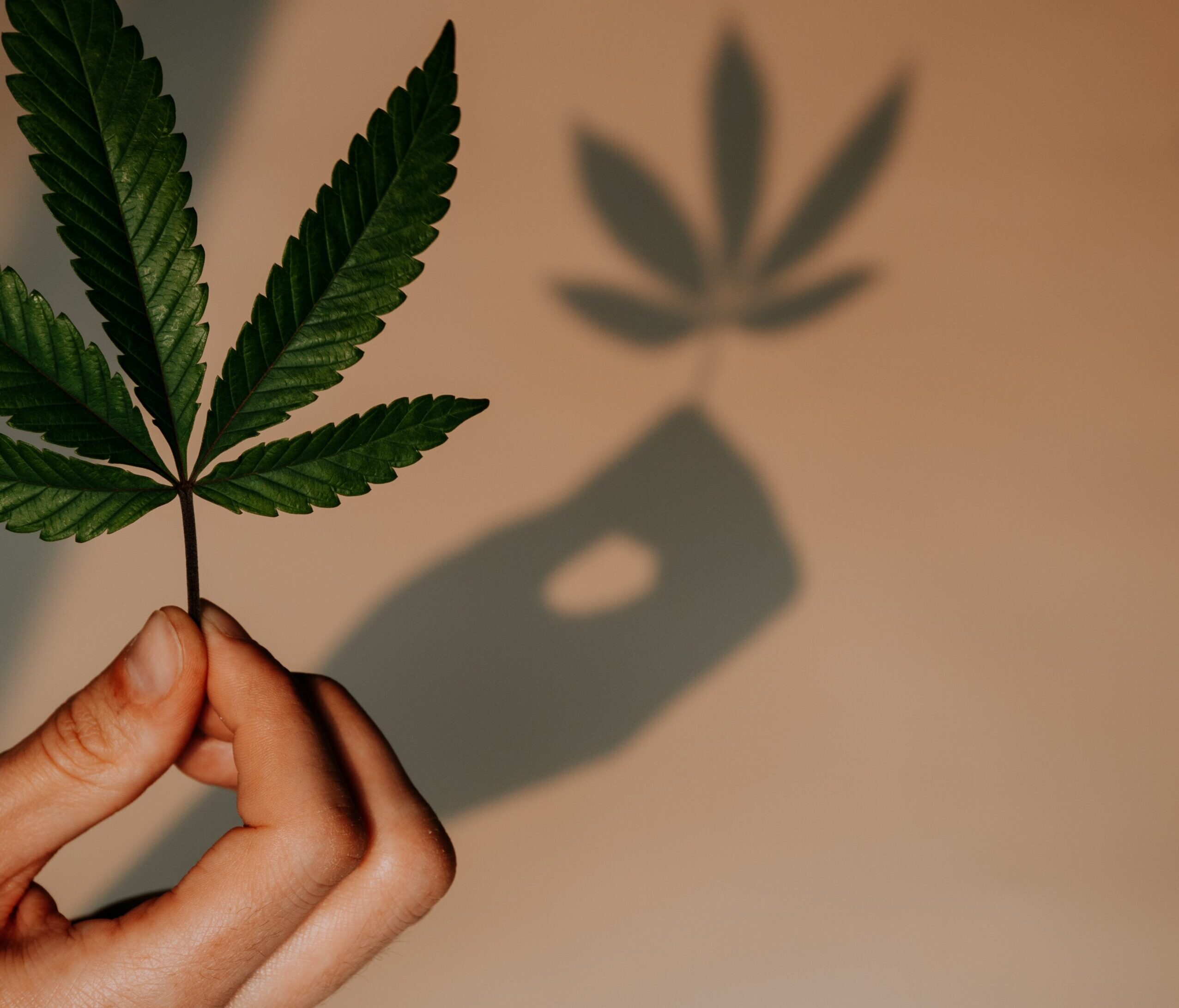 Wie man medizinisches Cannabis sicher und effektiv dosiert