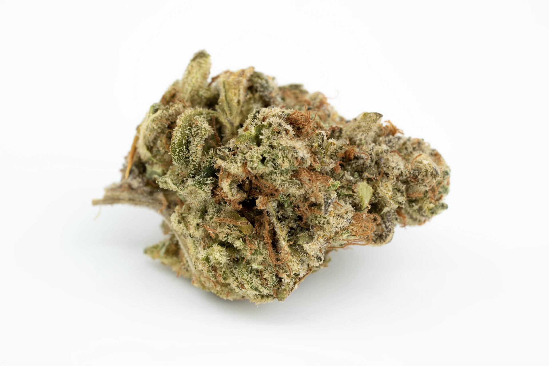 therismos-24-1-sdk-cannabisblueten-greensby
