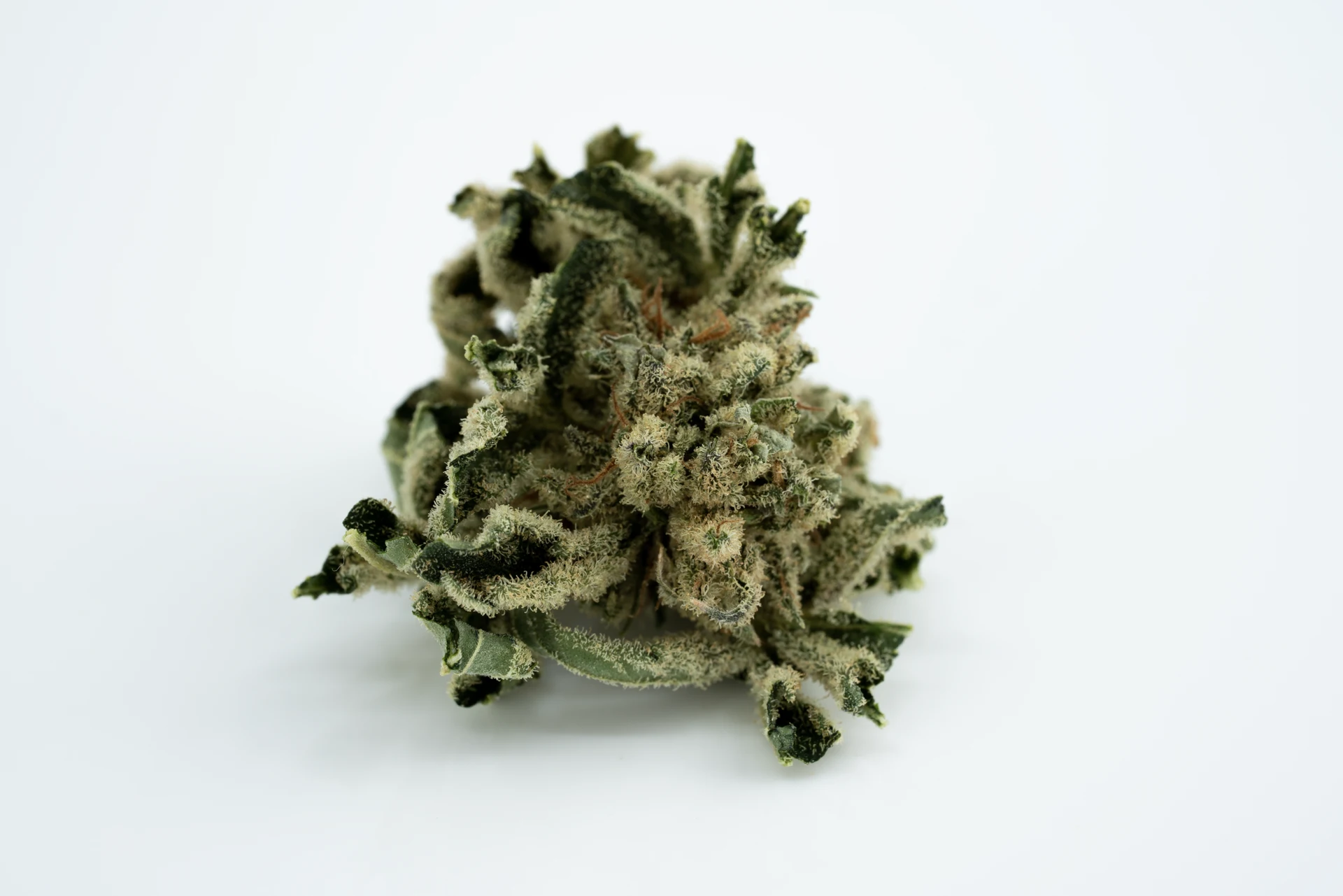 tilray-thc-15-bb-cannabisblueten-greensby