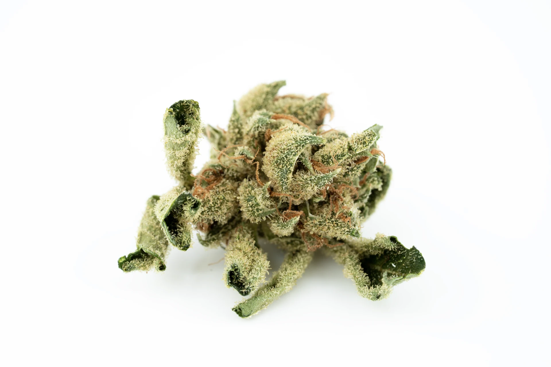 tilray-thc-15-spp-s-cannabisblueten-greensby
