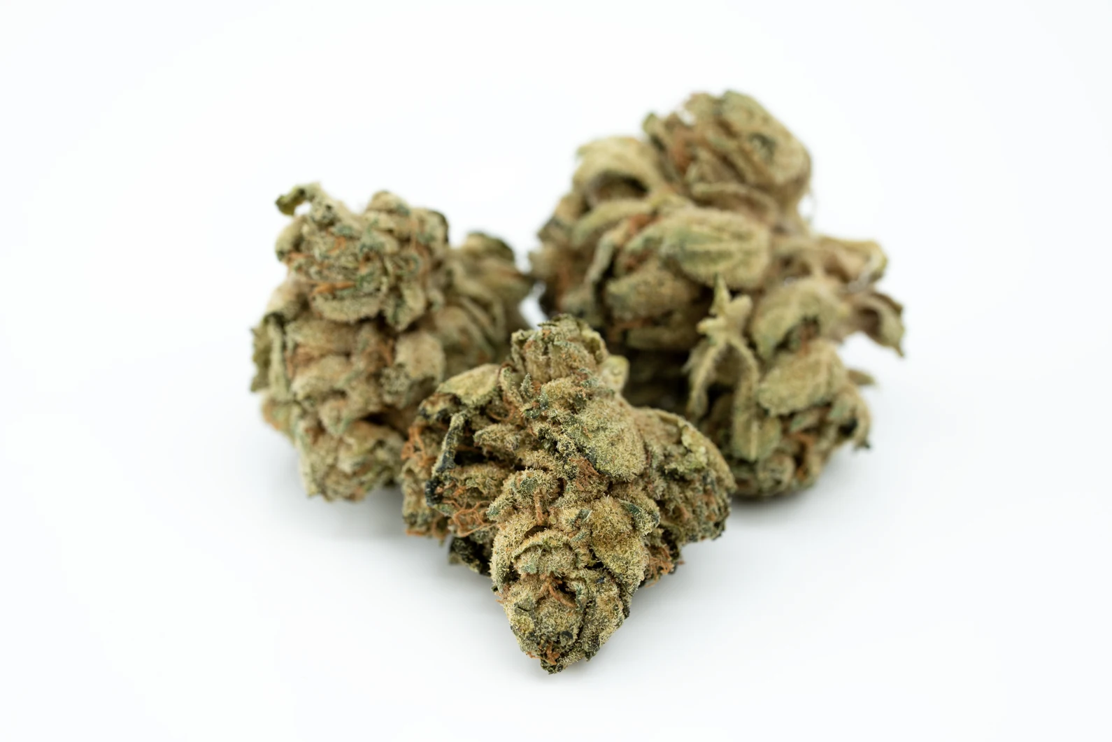 tilray-thc-18-spotlight-porto-hb-masse