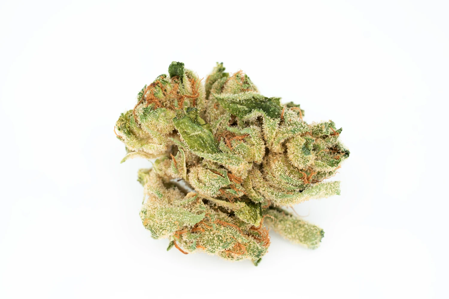 tilray-thc-18-spp-gw-cannabisblueten-cannabis-apotheke