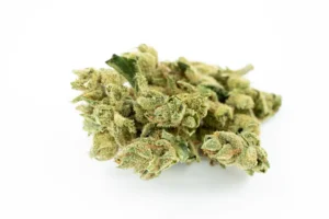 Produkte - Tilray THC18 Spotlight Porto 