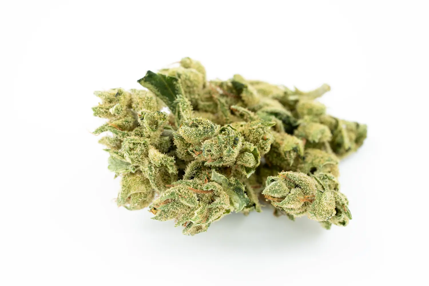 Produkte - Tilray THC18 Spotlight Porto 