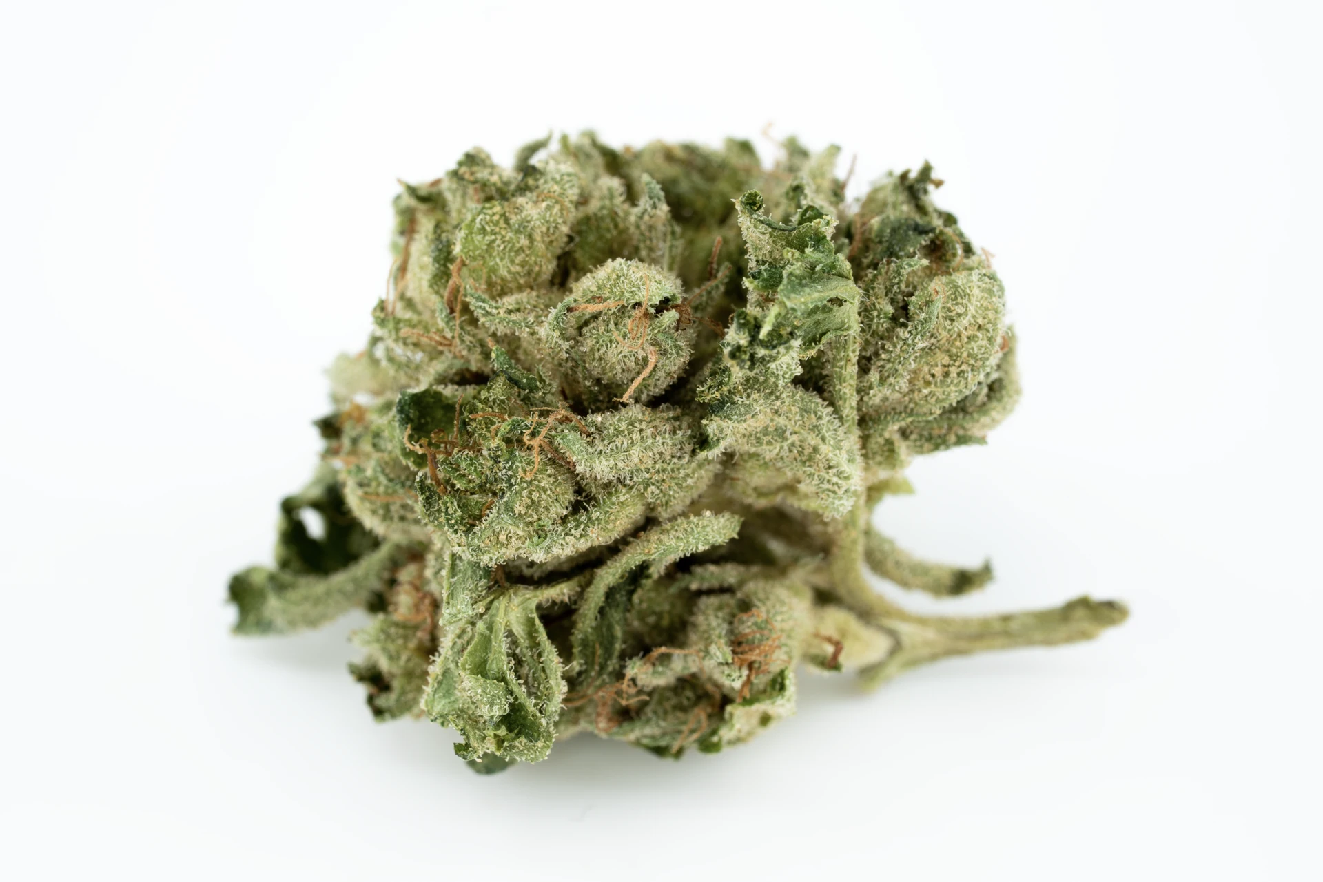 tilray-thc-18-spp-mk-cannabisblueten-greensby