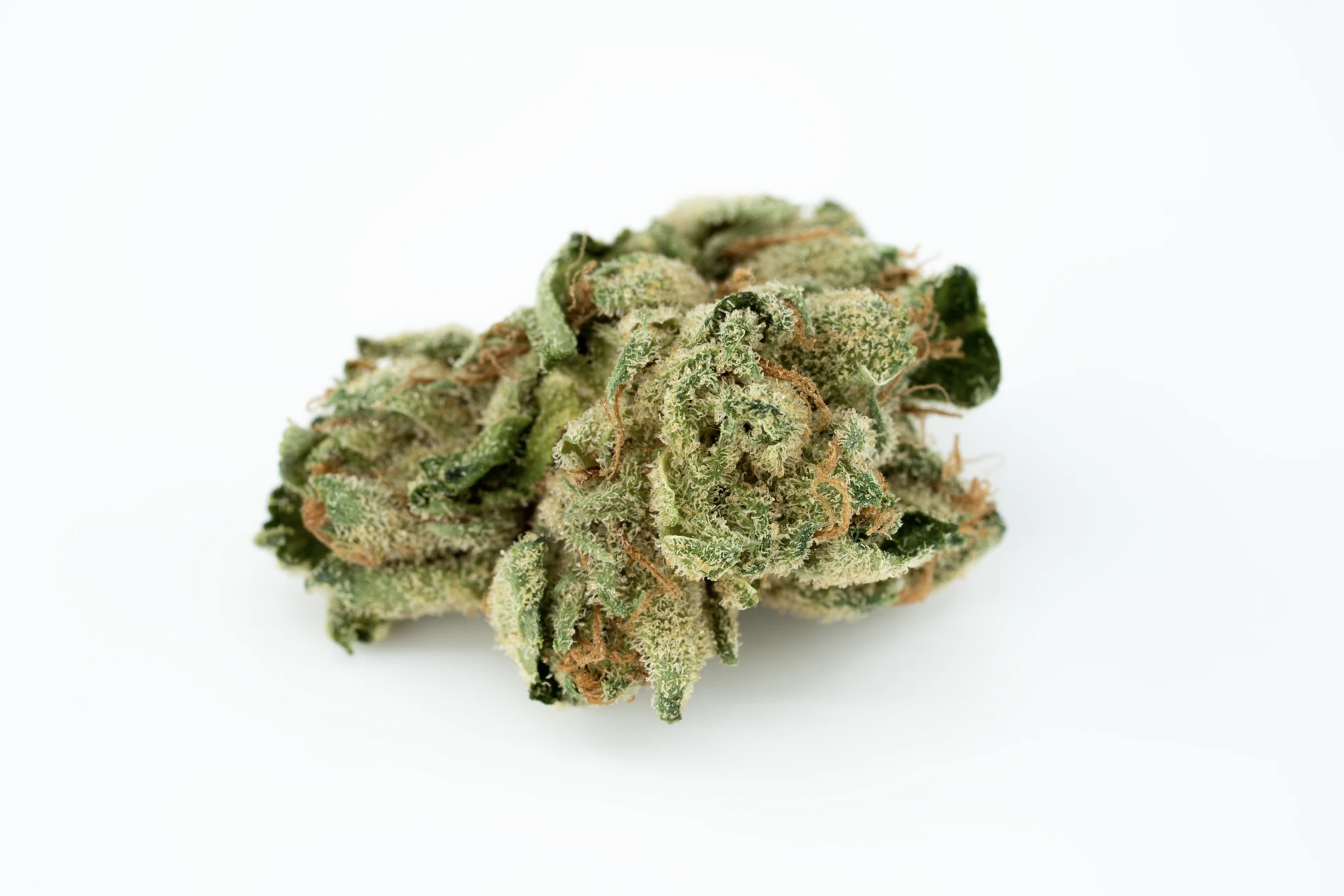 tilray-thc-18-spp-rs-cannabisblueten-greensby