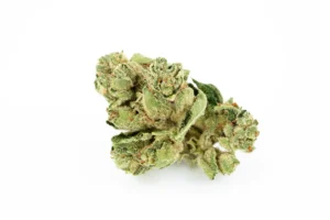 Produkte - Tilray THC18 Spotlight Porto 