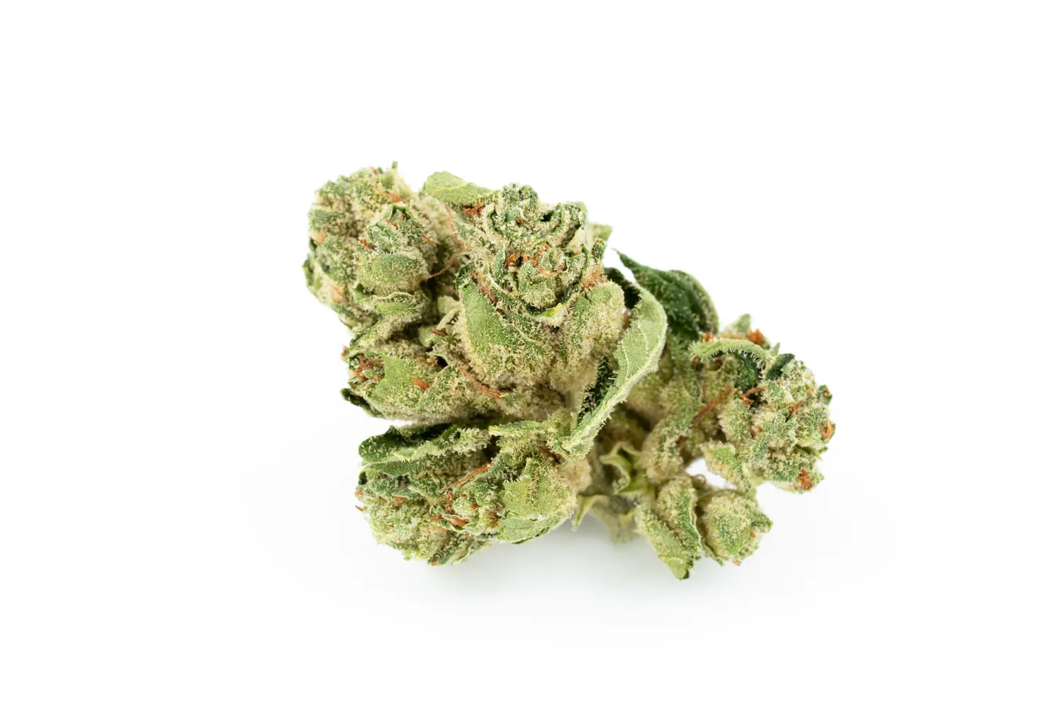 Produkte - Tilray THC18 Spotlight Porto 