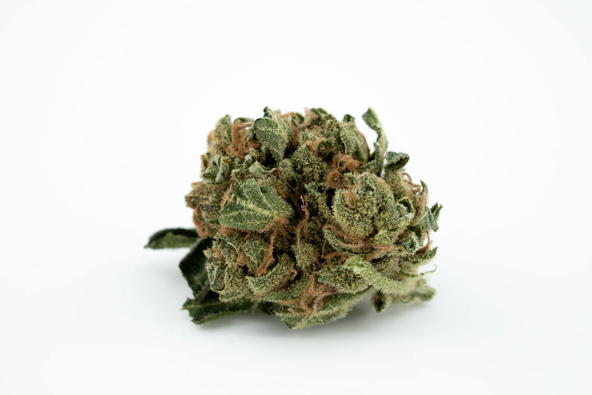 tilray-thc-18-spp-sd-cannabisblueten-greensby