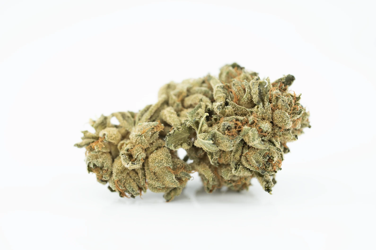 tilray-thc-22-spotlight-porto-m