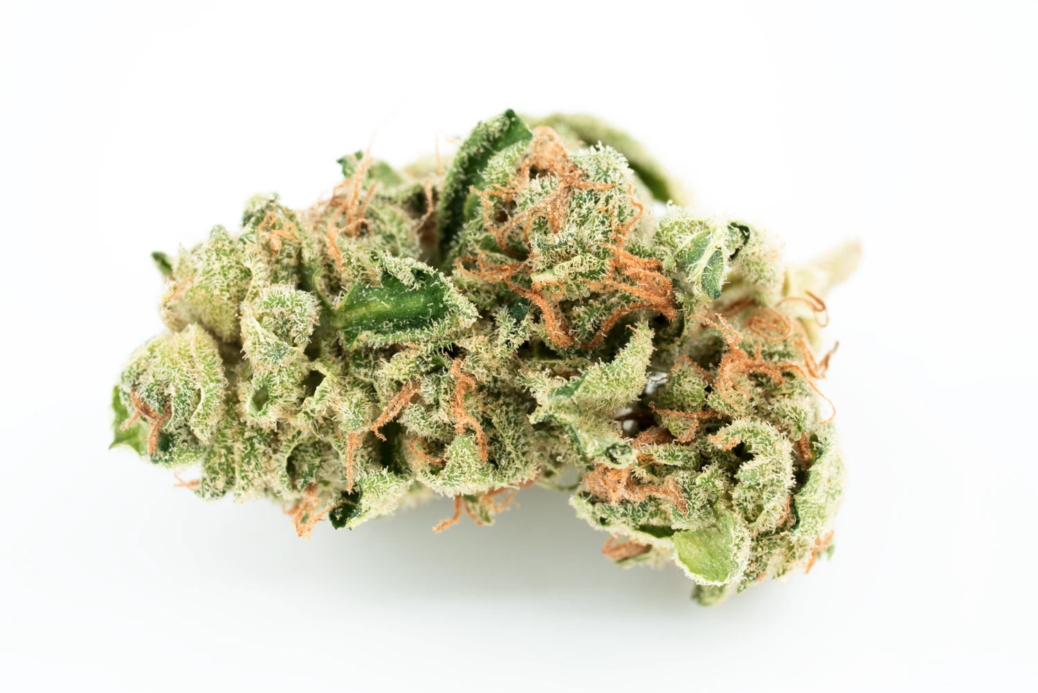 tilray-thc-22-spp-gg4-cannabisblueten-cannabis-apotheke