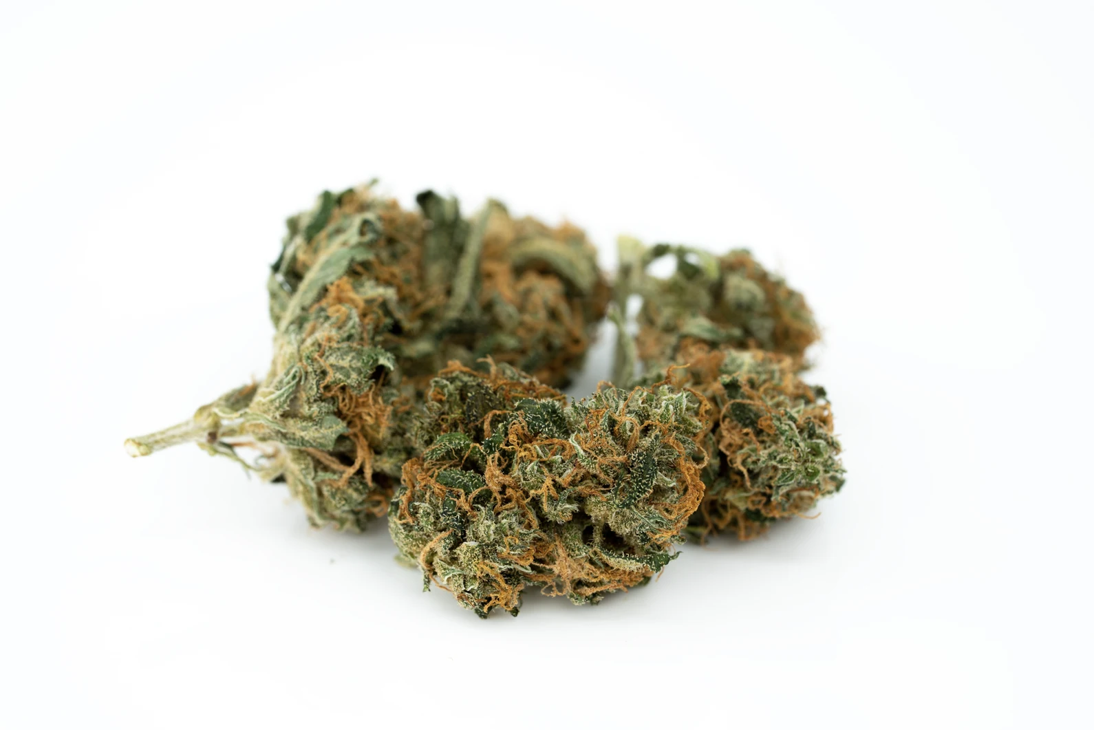 typ-3-aphria-masse